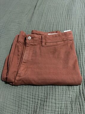 GAP Wide-Leg High Rise Pants in Rust